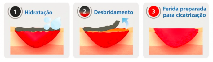 Mecanismo de Acao Hidrogel