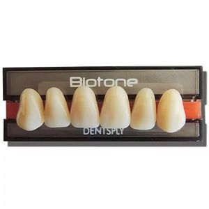 Dente-Biotone-Anterior-Superior-Dentsply