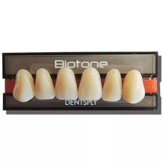 Dente-Biotone-Anterior-Superior-Dentsply